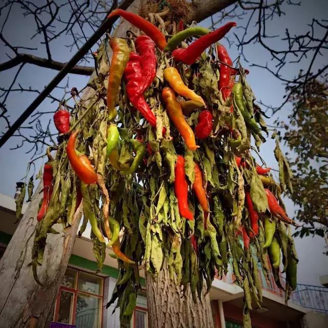 孩子说想出去玩怎么办,孩子问为什么不能出去玩