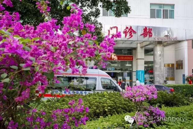 最美二院,最美二附院