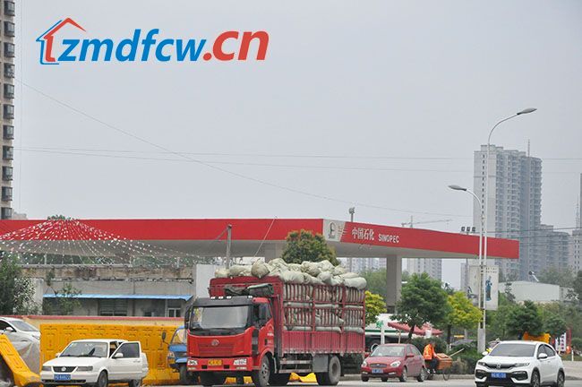 小丫看房日记,小丫探房驻马店