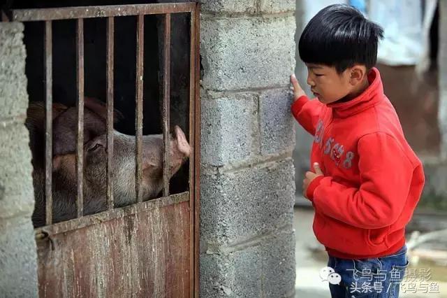 最好的旅游就是陪伴,一场美好的旅行是爱的陪伴
