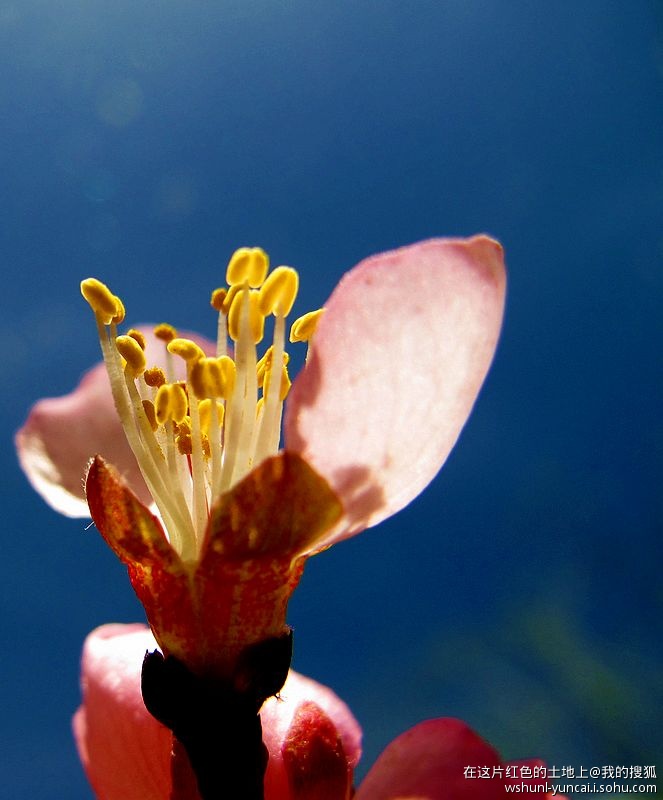 卡片机能拍出大片吗,卡片机能拍出压缩感吗