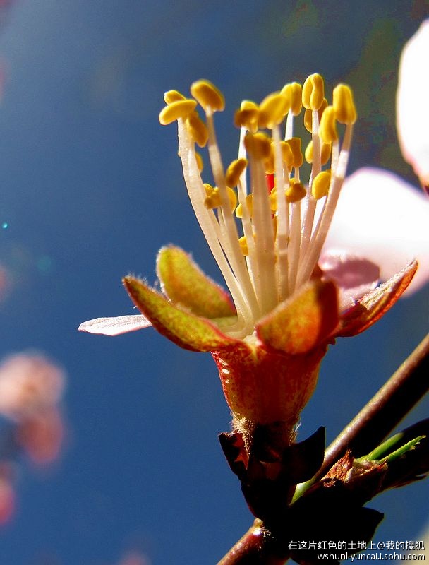 卡片机能拍出大片吗,卡片机能拍出压缩感吗