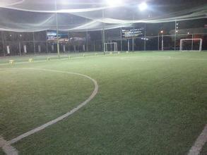 足球疯狂球迷视频,足球疯狂球迷冲场庆祝