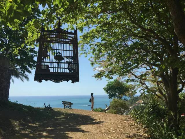 cmpa鎵嬫満鎽勫奖娆h祻,cmpa涓滆帪鍧庢櫘