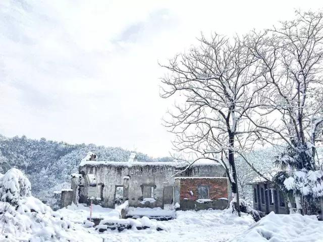 cmpa鎵嬫満鎽勫奖娆h祻,cmpa涓滆帪鍧庢櫘