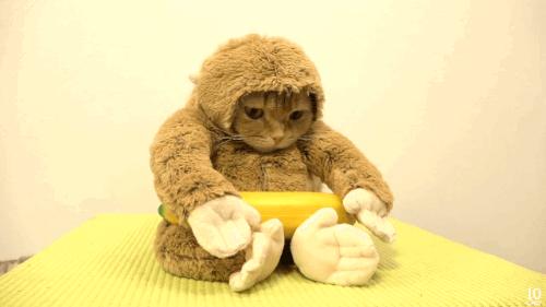 涔颁笉灏界殑鍛ㄨ竟,涔颁笉鍒版兂瑕佺殑鍛ㄨ竟