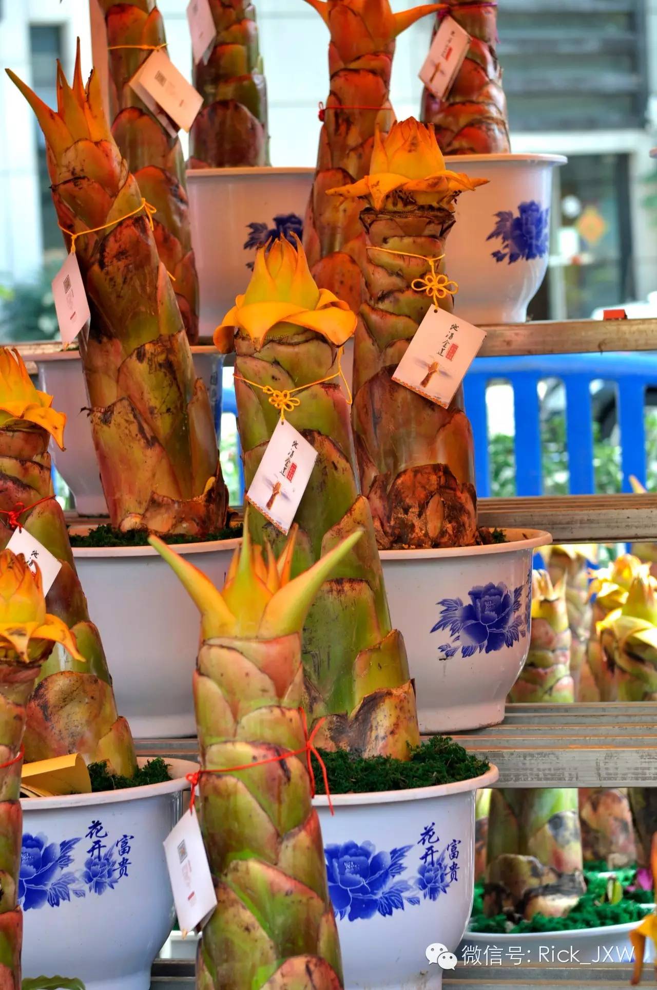 你真的了解华强北吗,你真的了解广州吗