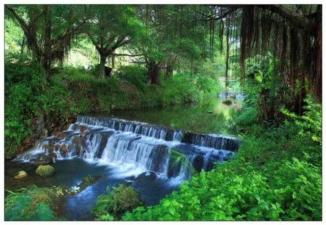 关注深圳龙岗,深圳龙岗最好消息