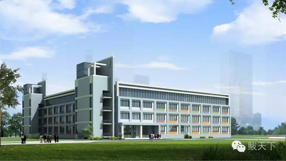 漂亮的新家,漂亮的新家完整视频