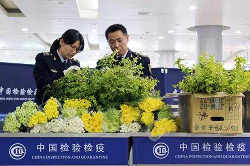 海淘族11.11不学国检法规吃大亏