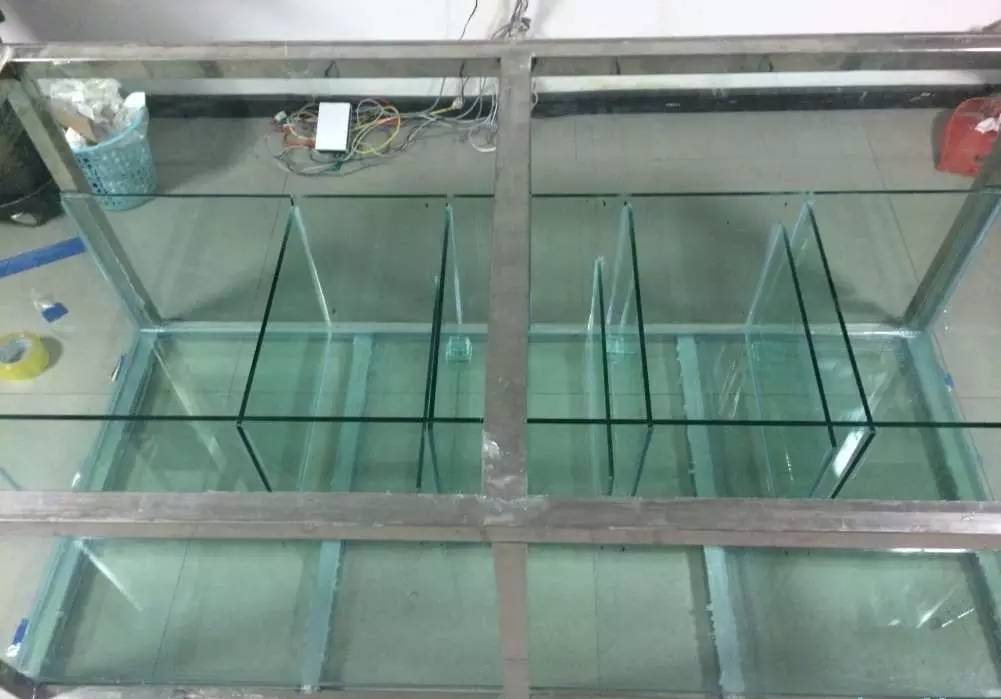 如何有一个好的鱼缸,给自己一个完美的空间