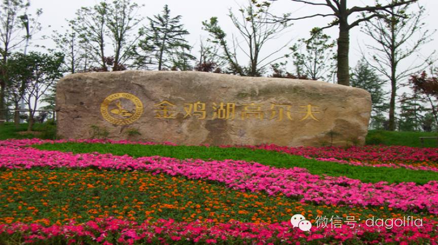 高尔夫球优惠活动,高尔夫挥杆练习场团购