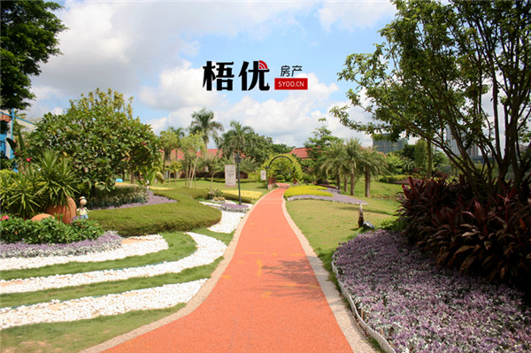 梧州市三龙大道规划图,梧州三龙大道未来发展