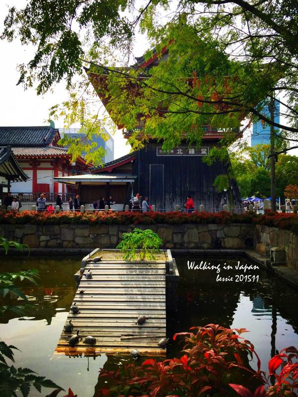 霓虹国秋日暴走之旅,漫步日本旅行游记