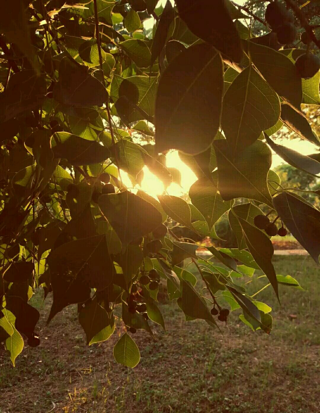 最好的我们电视剧,最好的我们主题曲
