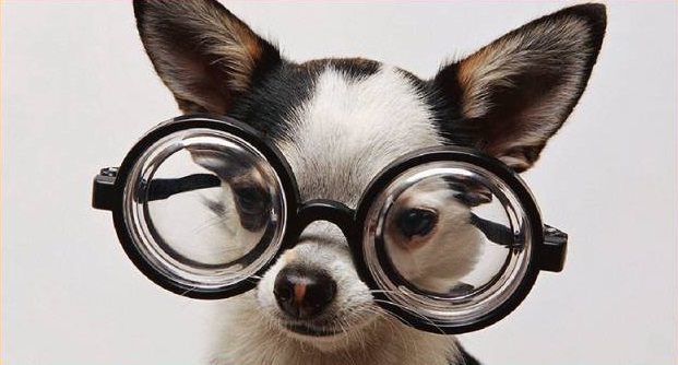 「黑科技」Ocumetics能让你永久告别近视？