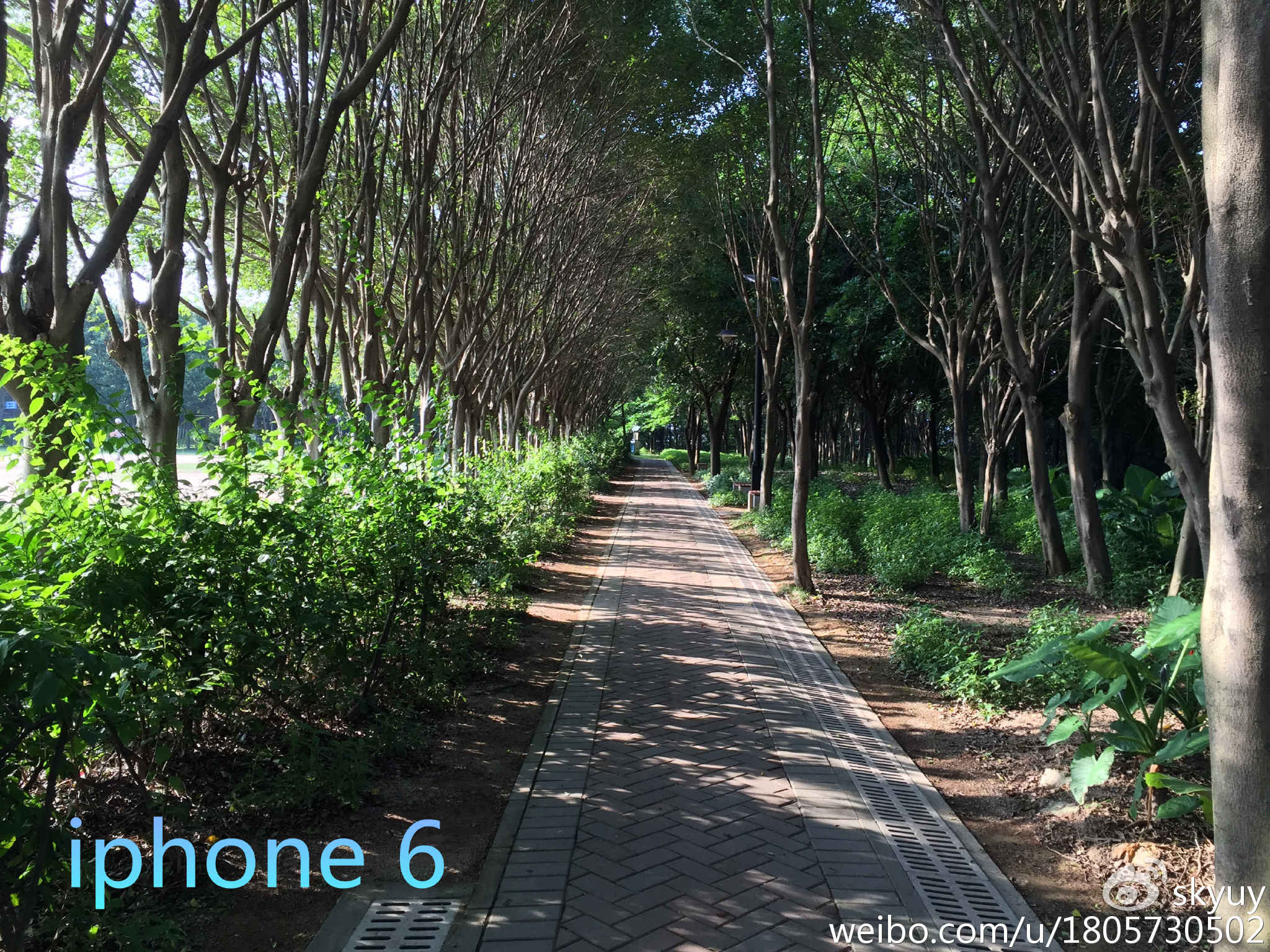 荣耀V8测评,荣耀v8测评处理器