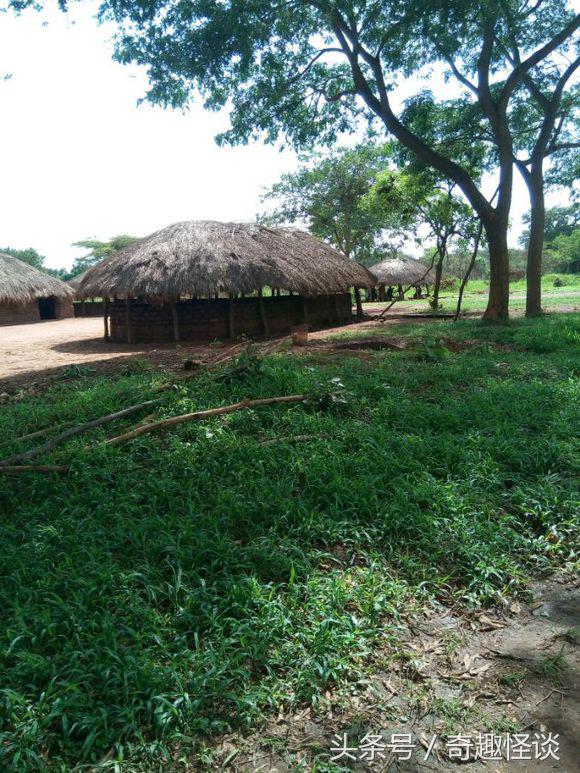 我在非洲工作的日子，给大家介绍下非洲的风土人情