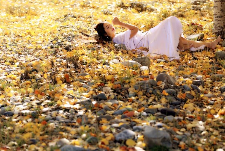 我在秋天等你是什么歌,我在秋天等你美到心碎散文