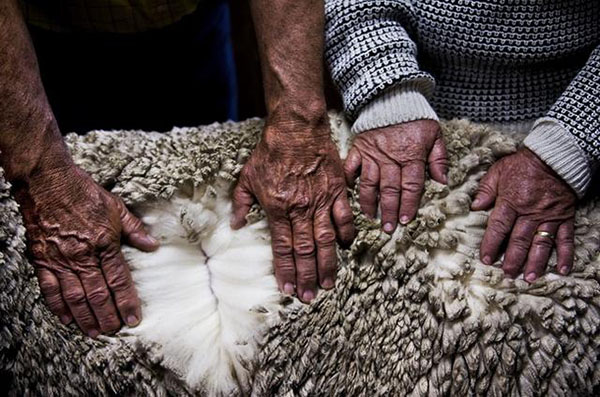 ugg真的与假的穿着有区别吗,ugg为什么越来越潮了