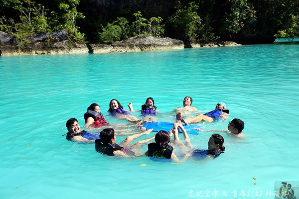 帕劳海底鲨鱼图片大全,帕劳海洋奇观之谜