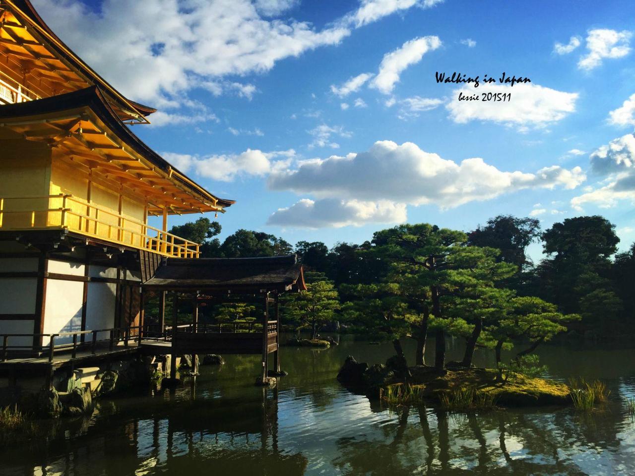 霓虹国秋日暴走之旅,漫步日本旅行游记