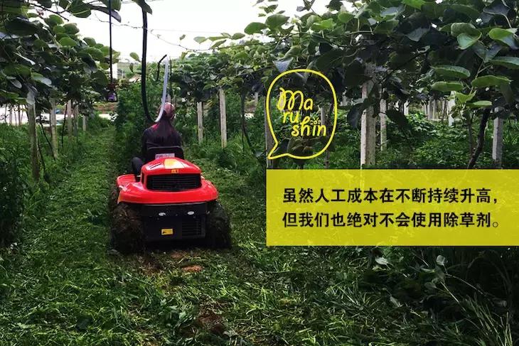 农心|一起向匠人精神致敬!