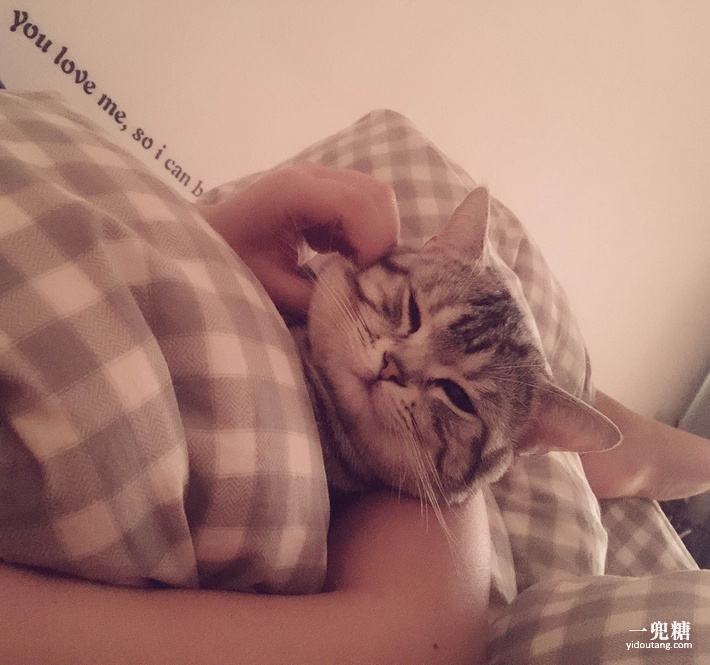 哪一种电暖炉比较好,轻奢电暖炉