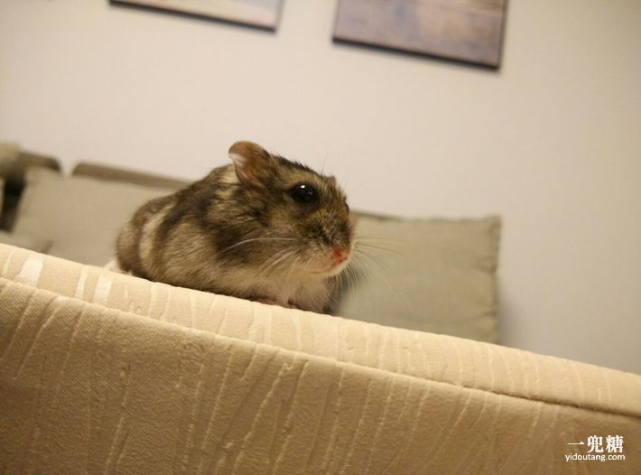 哪一种电暖炉比较好,轻奢电暖炉