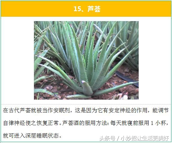 失眠多梦怎么办?民间治疗失眠的最有效的15个偏方秘方!