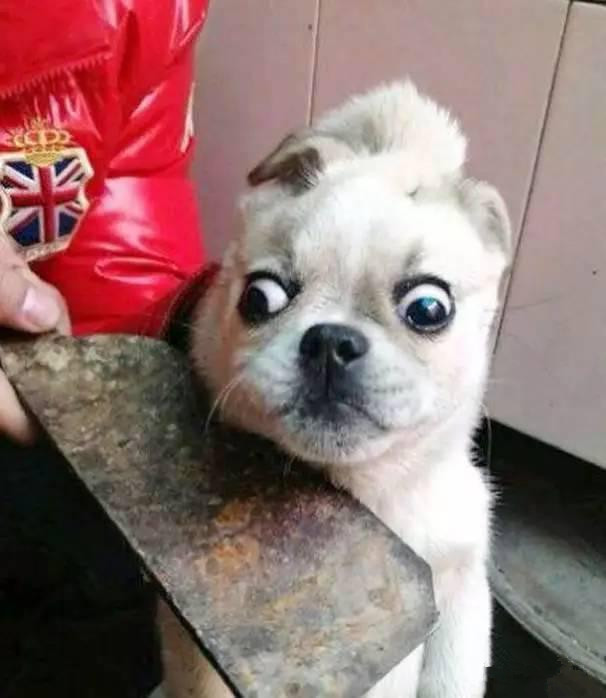 小伙惊人的手速,小伙手速