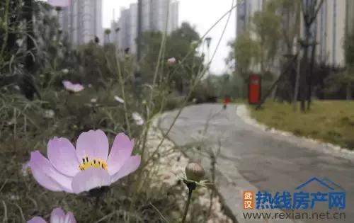 实力爆满却是捧不热的配角！幸福湾如何导演解放大道？|看房情报