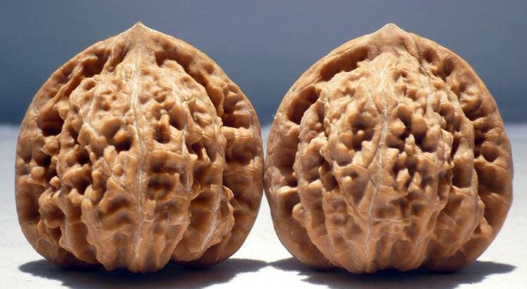 玩核桃要玩全品吗,玩核桃经验分享