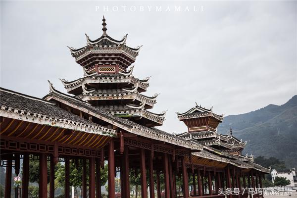 上山割茅草编茅草筐,农村割草竹筐手工编织教程