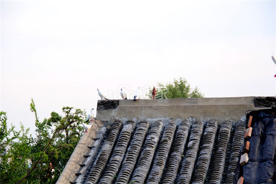 老北京胡同民宿,北京胡同好的民宿推荐