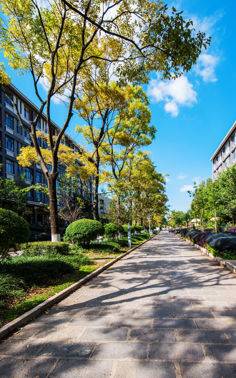 浜戝崡甯堣寖澶у鍛堣础鏍″尯,浜戝崡甯堣寖澶у