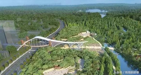 珠海现在还有哪些公园,美爆了的景点