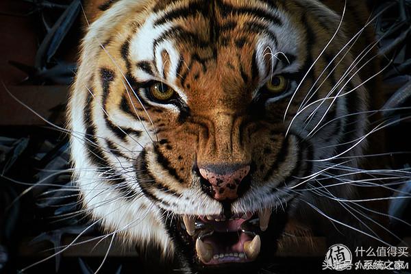 4k超高清hdr跟4kuhd有什么区别,4khdr和4k全高清