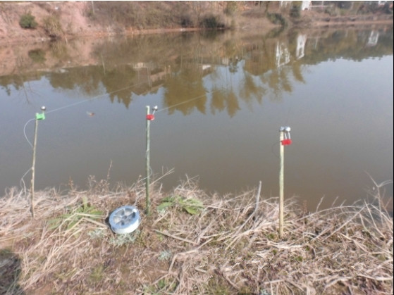 用小竹子来钓12斤的大鲤鱼,2.7米手竿钓获十几斤的鲤鱼