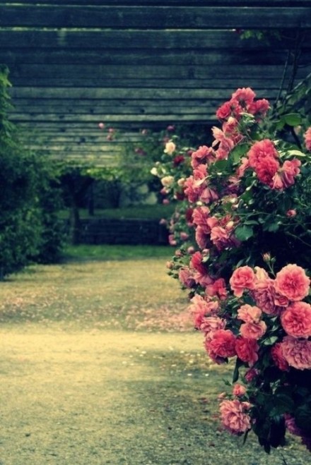 室内小游戏穿衣叠被子,叠被子小游戏规则