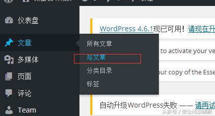 零基础搭建网站免费,零基础建网站教程大全