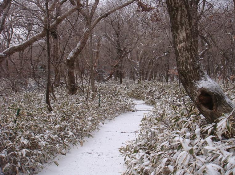 济州岛的生活日常,济州岛消费准备什么
