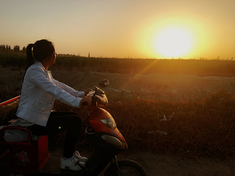 哈密大枣简介,乌鲁木齐哈密大枣