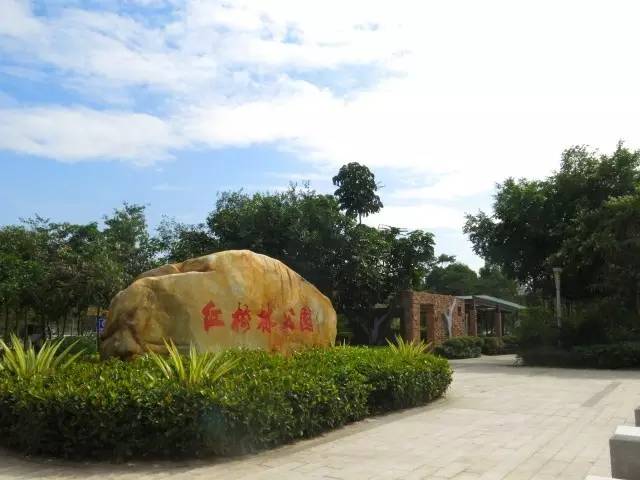 大亚湾变化,大亚湾翻天覆地的变化