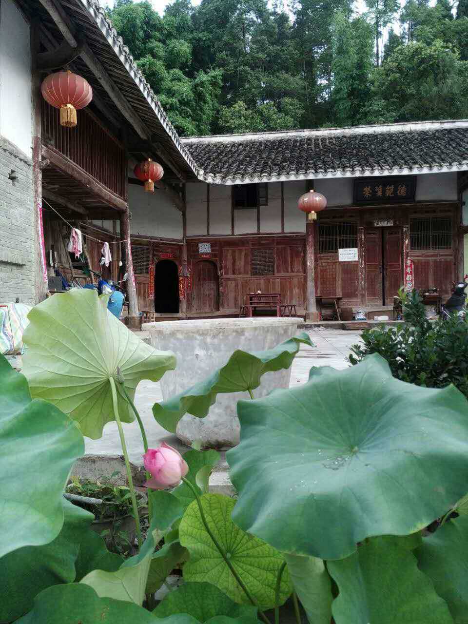 鍗囬挓婀栭挀楸煎ぇ鐧芥潯,鍗囬挓婀栭挀鐧芥潯