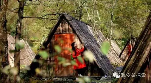 最美的季节,醉美的季节原唱视频