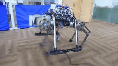 四足机器人大赛波士顿,四足机器人中国