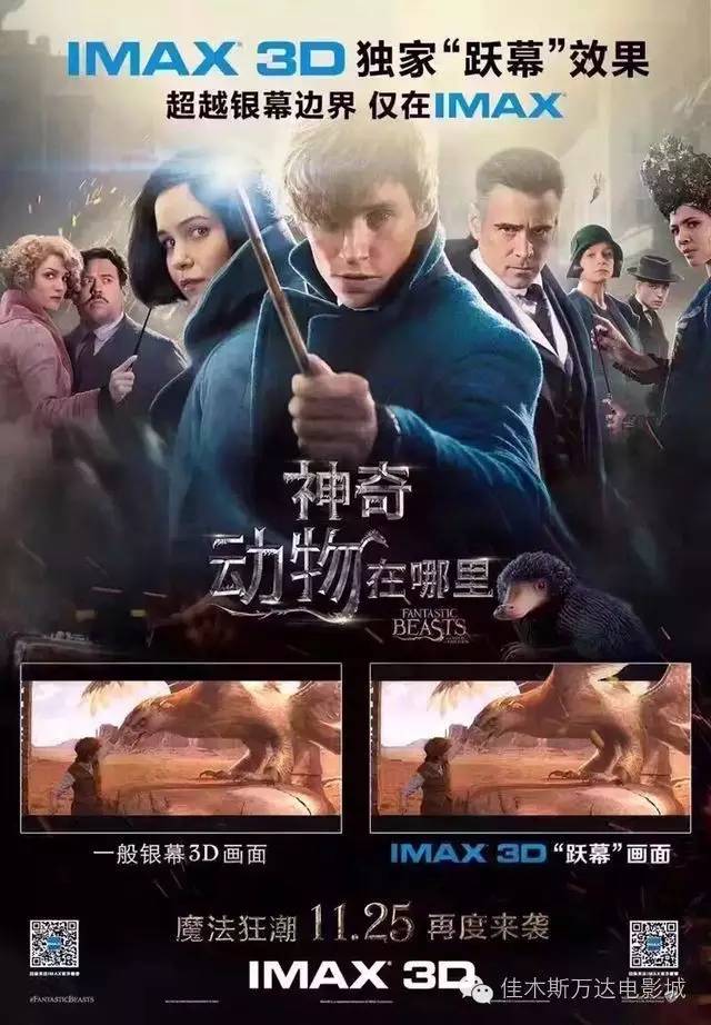 *今条头日**IMAX零点首映《神奇动物在哪里》带给我们的是跃幕