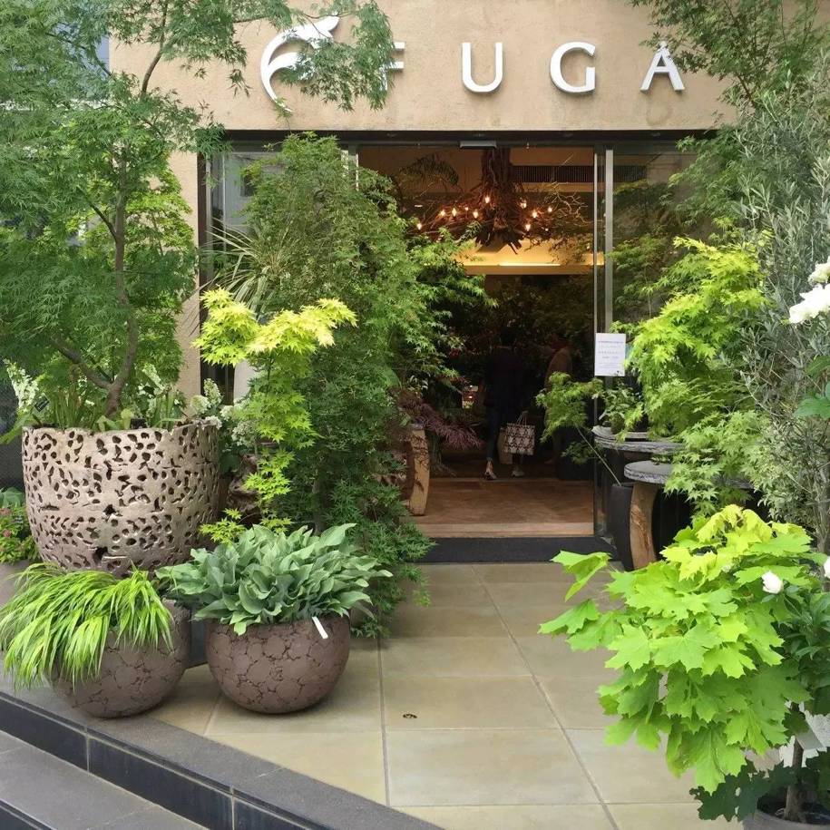 十万步走出的东京花店