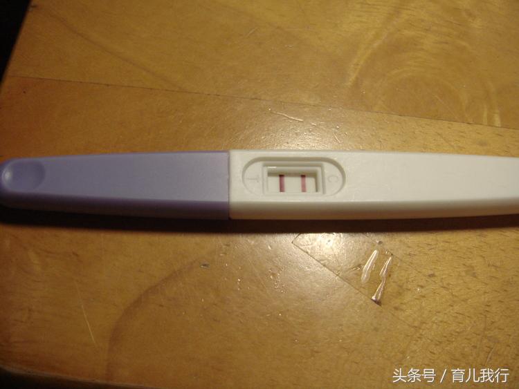 备孕已如愿,备孕成功怀孕